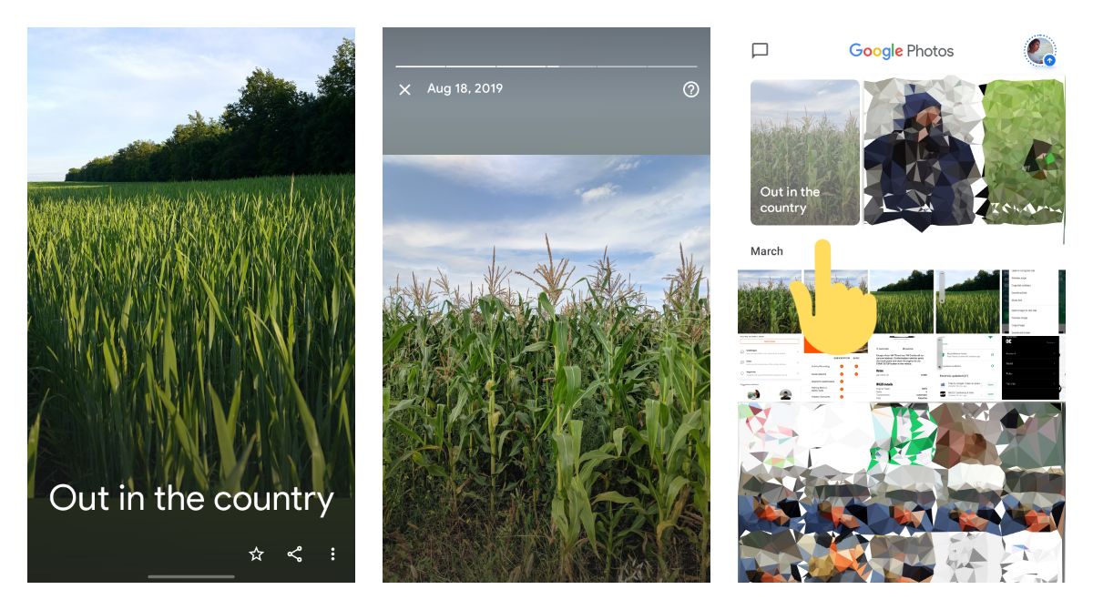 Google Photos highlights "out in the country" as a themed memory