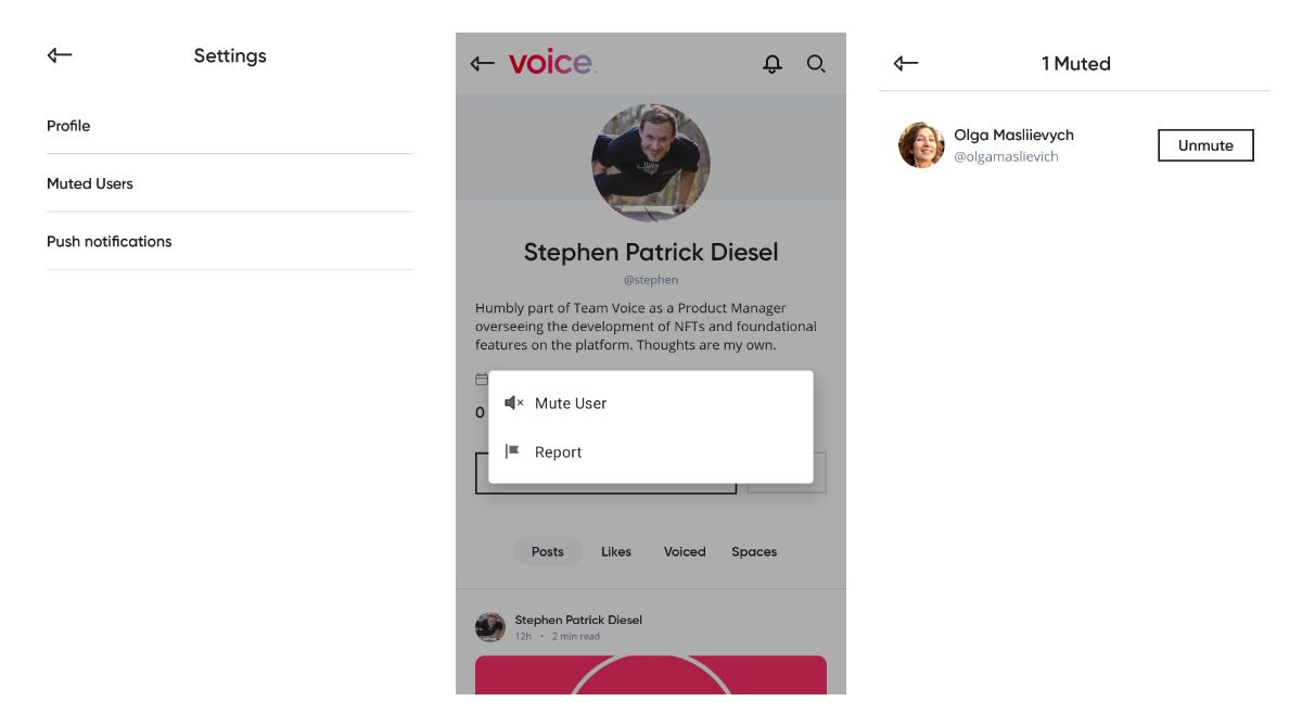 Voice launches mute functionality to help users to control their feeds in a better way