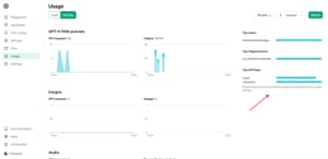 ICYMI: ChatGPT APIs now offer granular usage tracking per API key