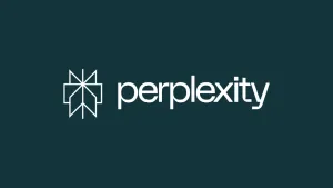 Perplexity
